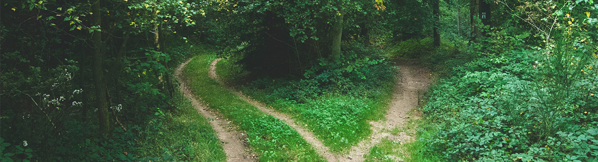 How to Test Your Decisions