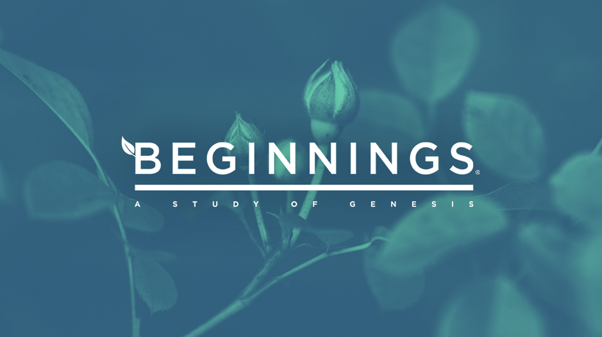 Genesis Beginnings