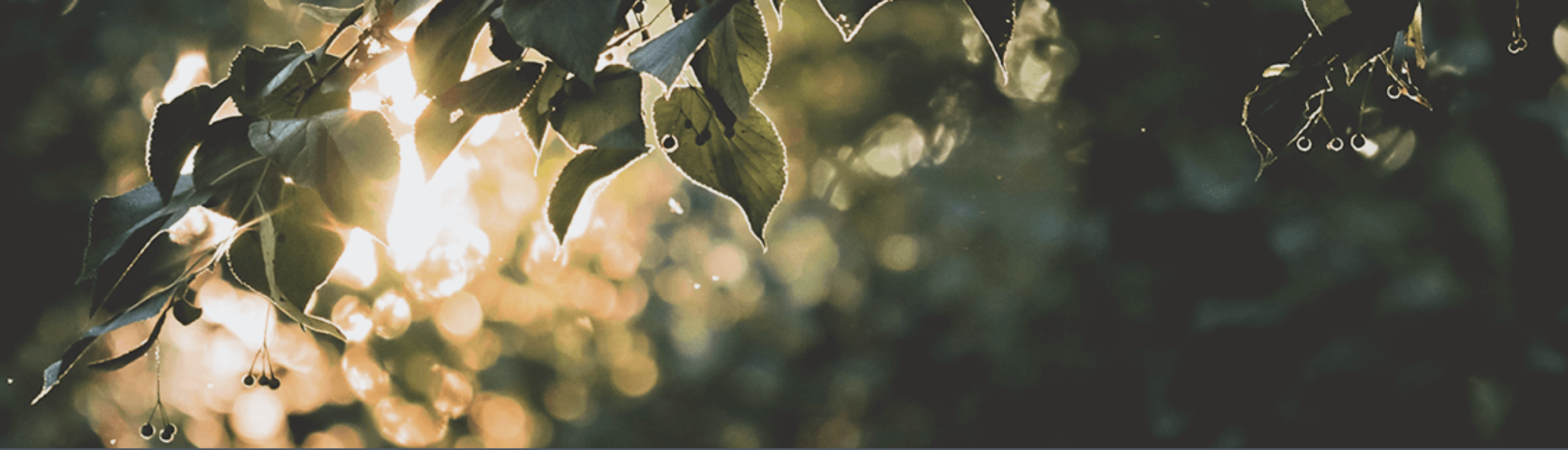 Grief, Guilt, and God's Goodness