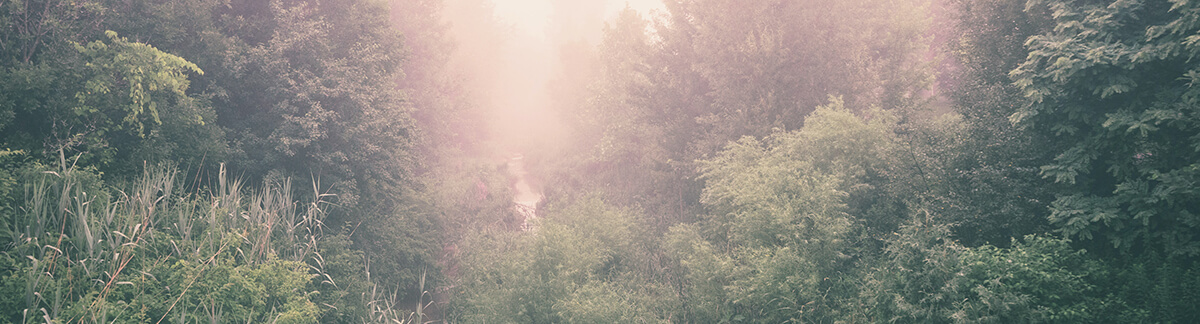 Jesus' Guide to the Ultimate Lifestyle