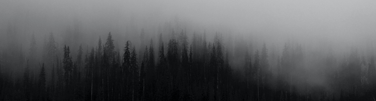 A Biblical Response to Racial Injustice