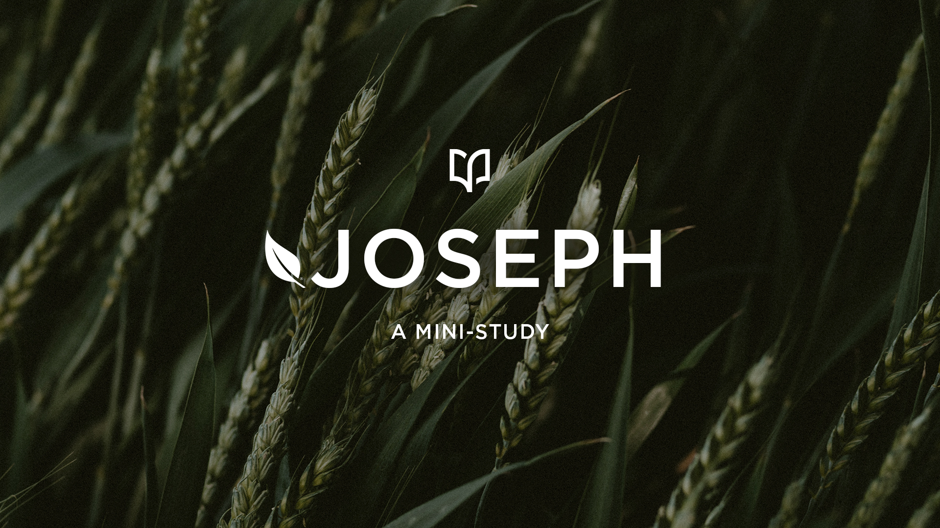 josephheaderministudy